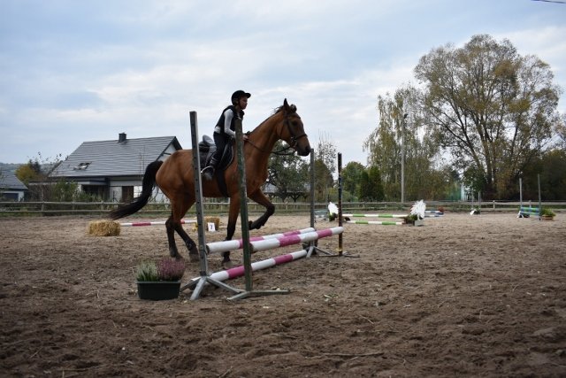 bABIE lATO 2018